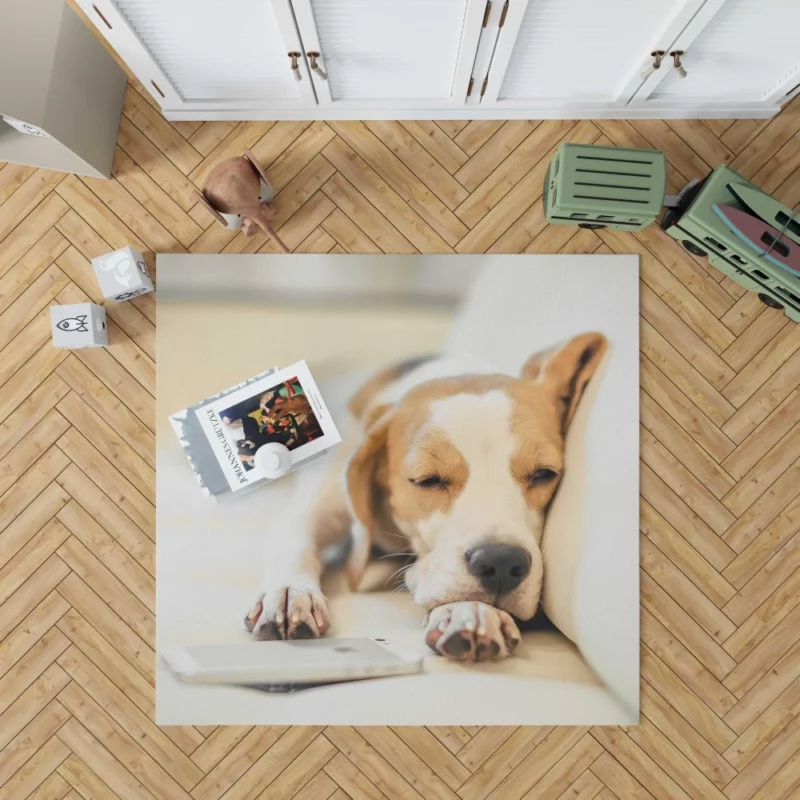 Beagle Muzzle & Cozy Nap Rug