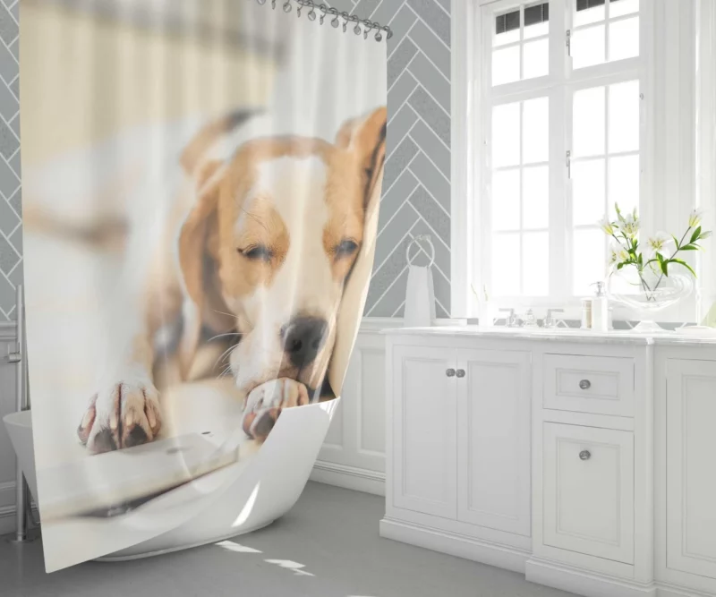 Beagle Muzzle & Cozy Nap Shower Curtain 1