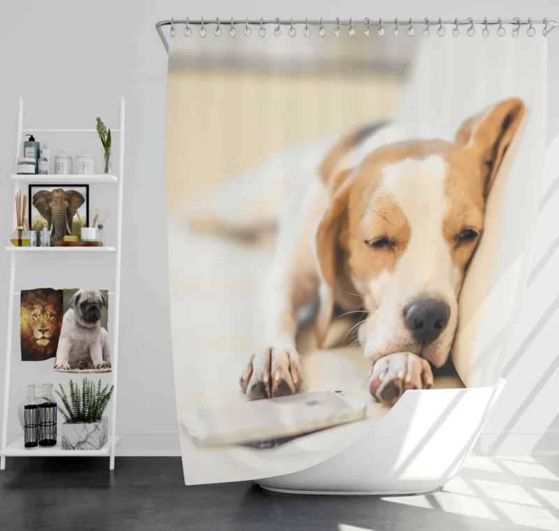 Beagle Muzzle & Cozy Nap Shower Curtain