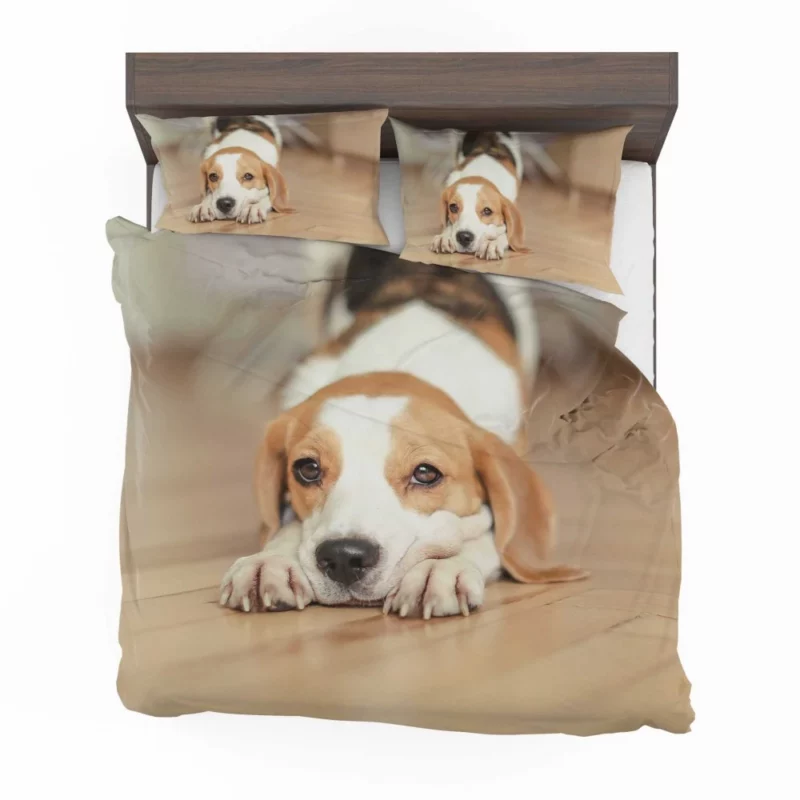 Beagle Muzzle in Blur Curious Antics Bedding Set 1