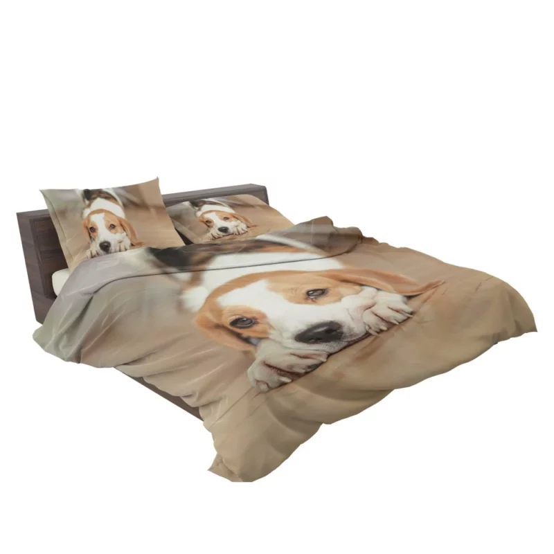 Beagle Muzzle in Blur Curious Antics Bedding Set 2