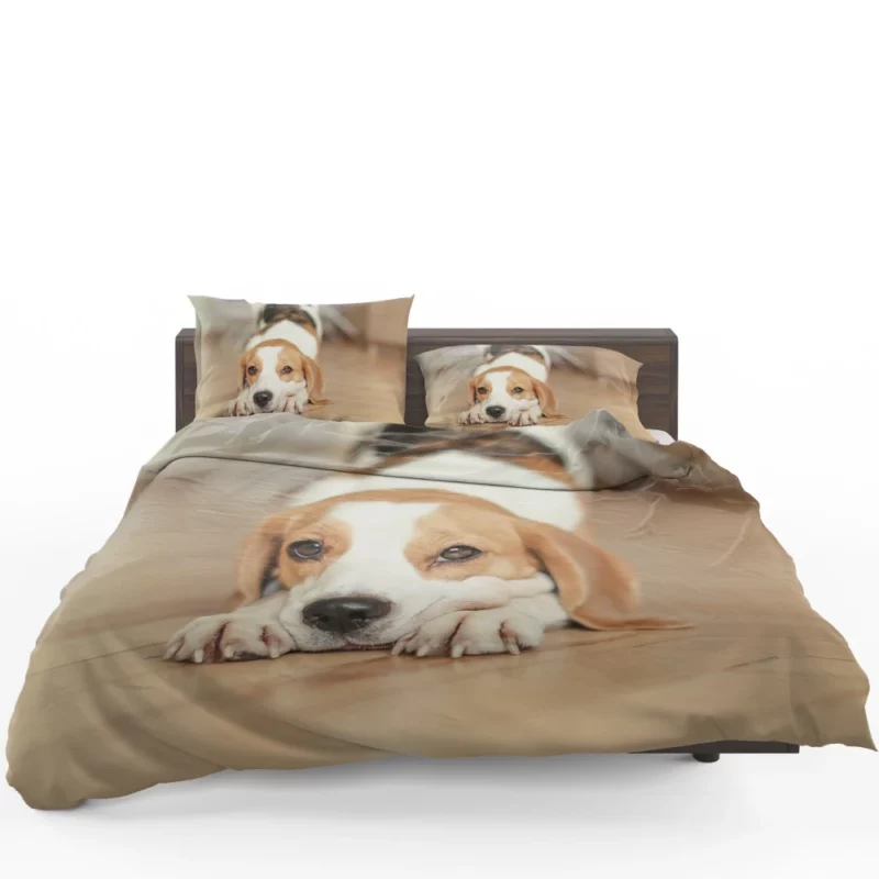 Beagle Muzzle in Blur Curious Antics Bedding Set