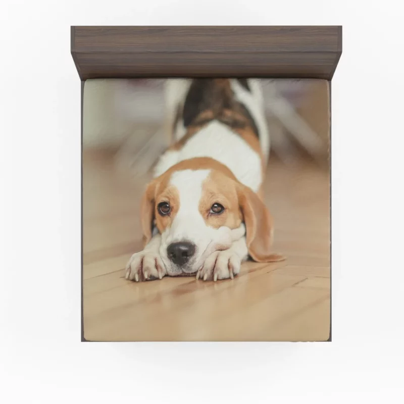 Beagle Muzzle in Blur Curious Antics Fitted Sheet 1