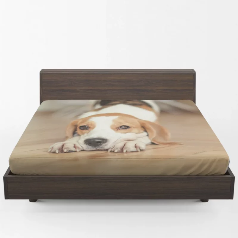 Beagle Muzzle in Blur Curious Antics Fitted Sheet