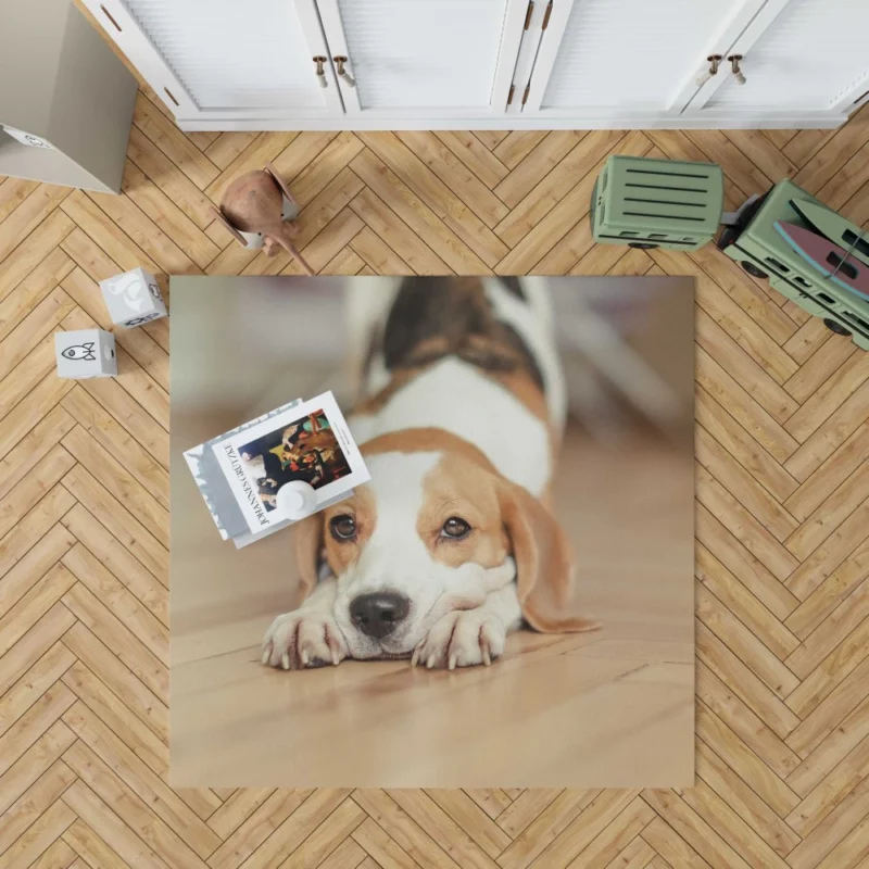 Beagle Muzzle in Blur Curious Antics Rug