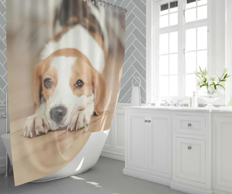 Beagle Muzzle in Blur Curious Antics Shower Curtain 1