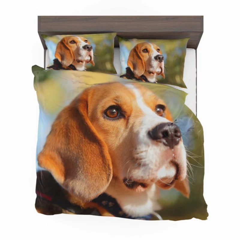 Beagle Muzzle in Focus Canine Persona Bedding Set 1