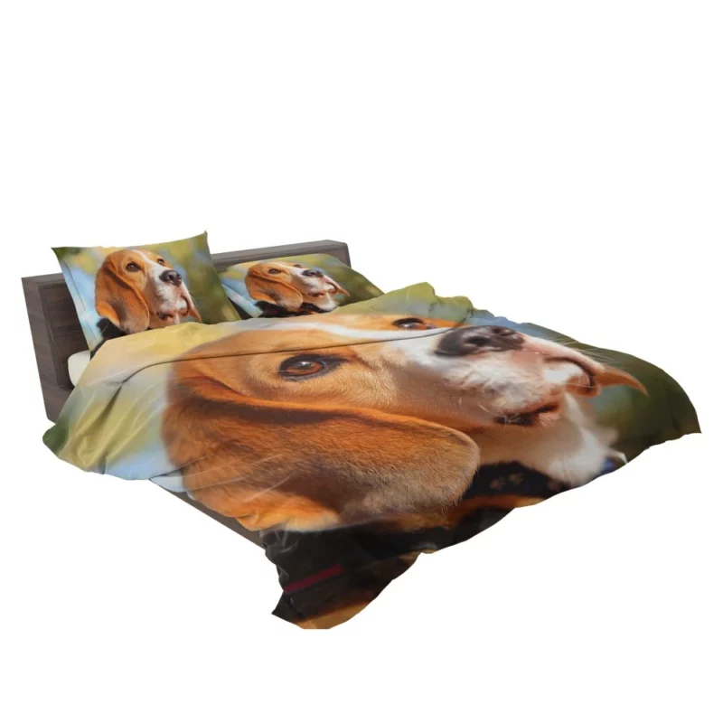 Beagle Muzzle in Focus Canine Persona Bedding Set 2