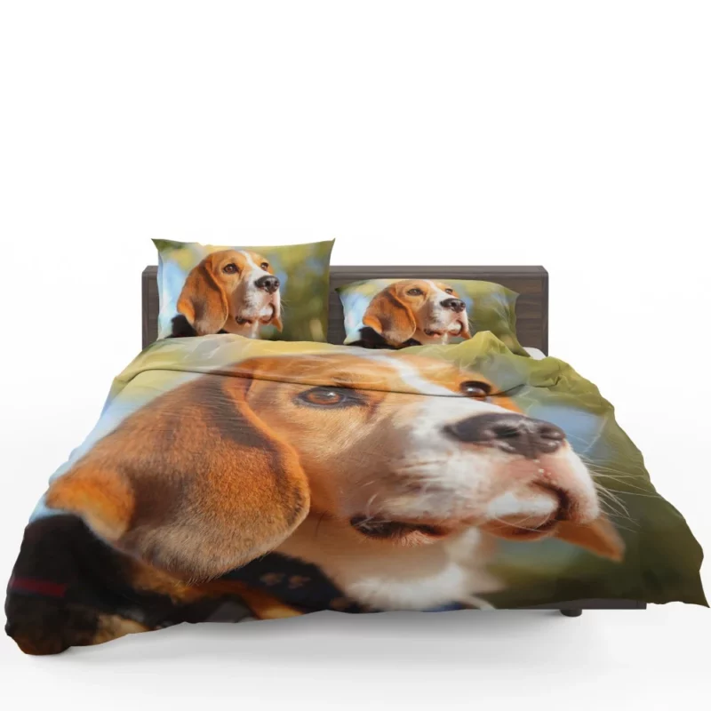 Beagle Muzzle in Focus Canine Persona Bedding Set