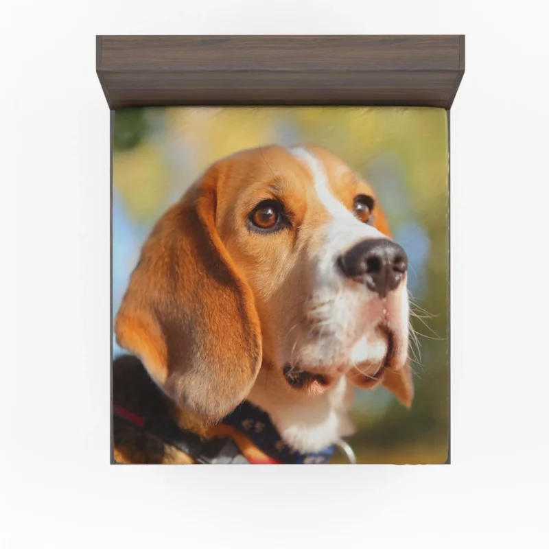 Beagle Muzzle in Focus Canine Persona Fitted Sheet 1