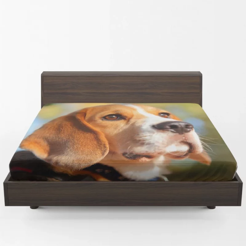 Beagle Muzzle in Focus Canine Persona Fitted Sheet