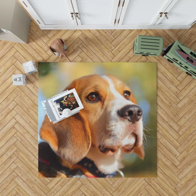 Beagle Muzzle in Focus Canine Persona Rug