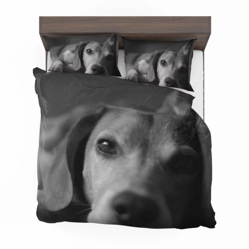 Beagle Puppies BW Charm Playful Duo Bedding Set 1