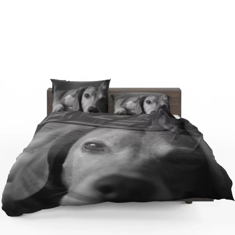 Beagle Puppies BW Charm Playful Duo Bedding Set