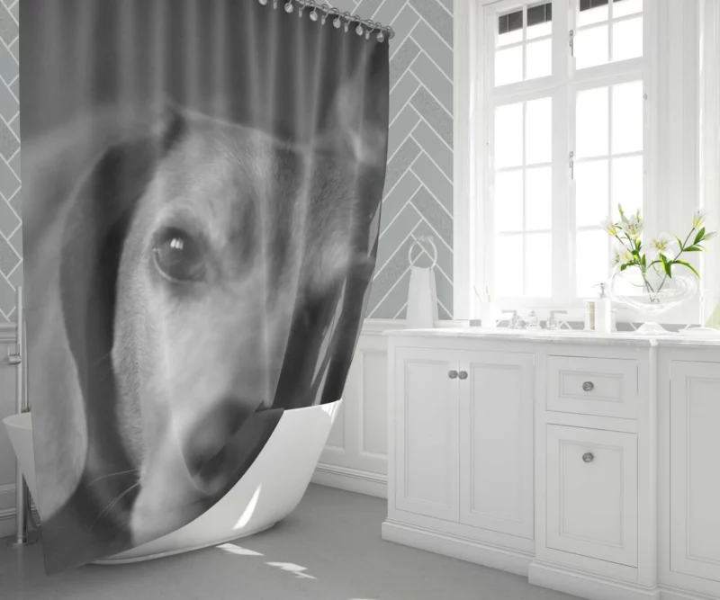 Beagle Puppies BW Charm Playful Duo Shower Curtain 1