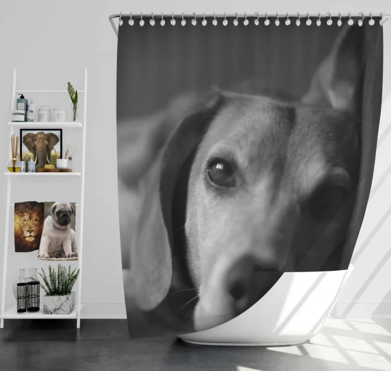 Beagle Puppies BW Charm Playful Duo Shower Curtain