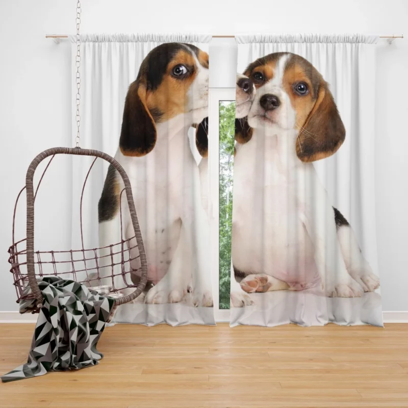 Beagle Puppies Playful Innocence Curtain