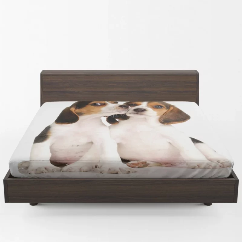 Beagle Puppies Playful Innocence Fitted Sheet