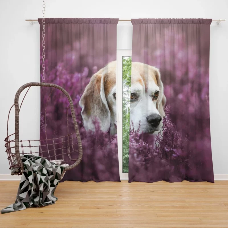 Beagle Purple Serenade Floral Fascination Curtain