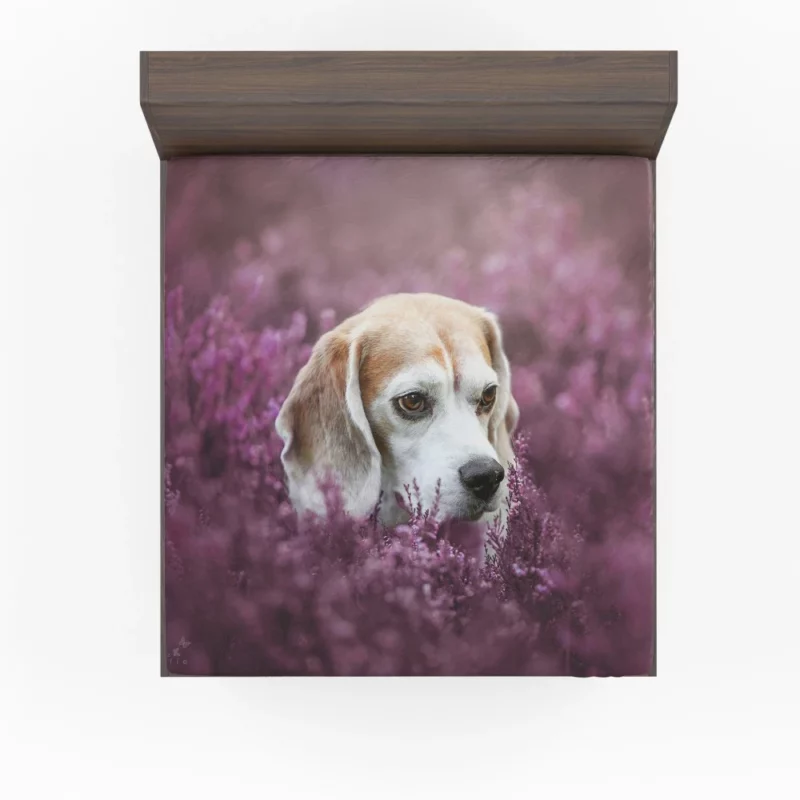 Beagle Purple Serenade Floral Fascination Fitted Sheet 1