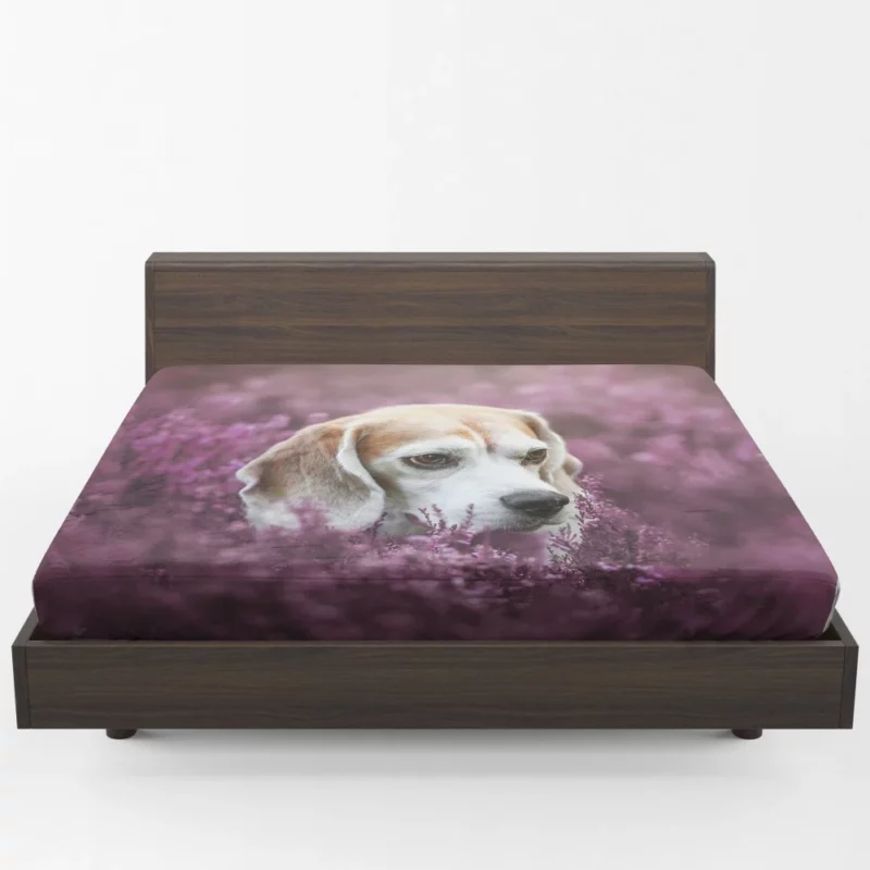 Beagle Purple Serenade Floral Fascination Fitted Sheet