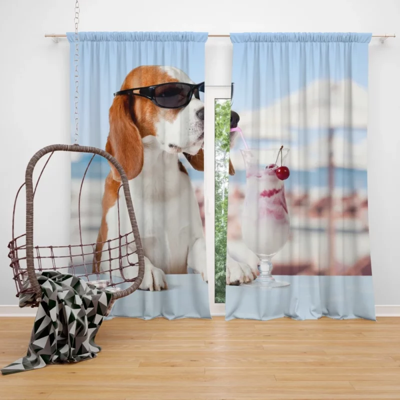 Beagle Summer Style Sunglass Adventure Curtain