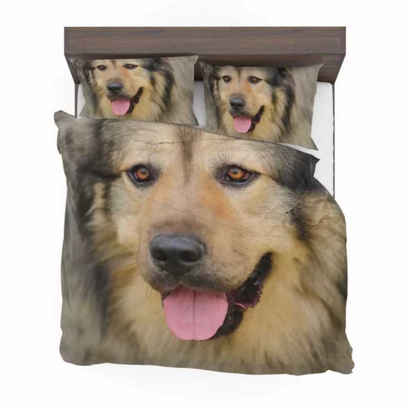 Beautiful Dog Captivating Appeal Bedding Set 1