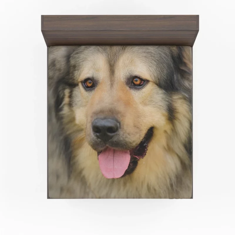 Beautiful Dog Captivating Appeal Fitted Sheet 1