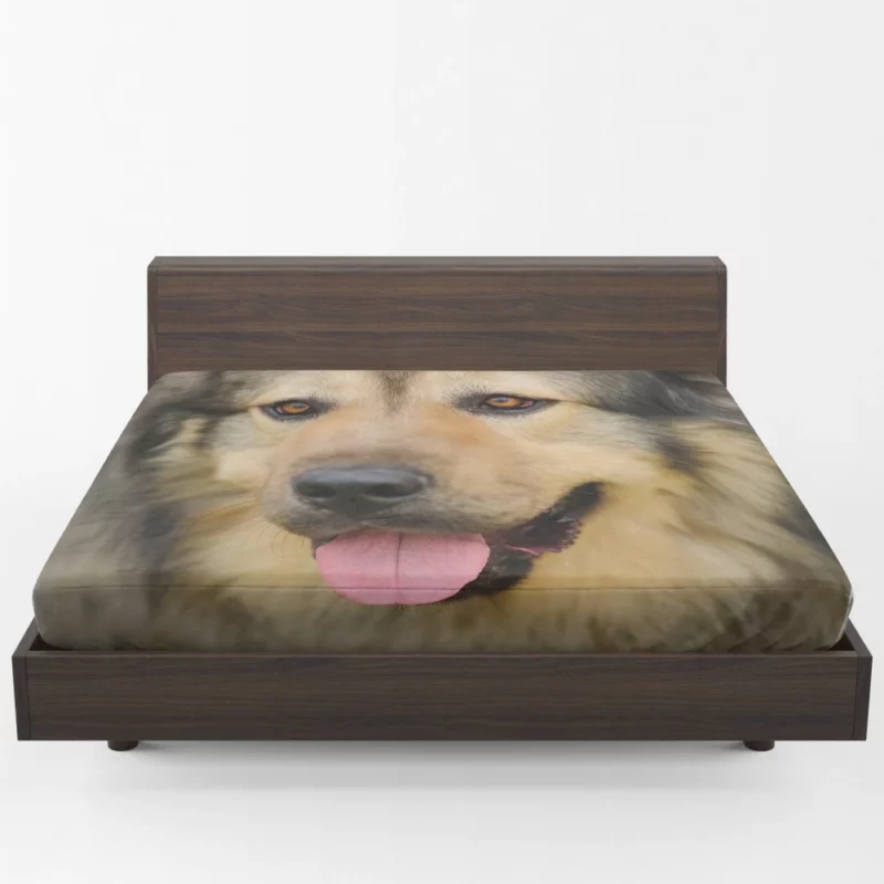 Beautiful Dog Captivating Appeal Fitted Sheet