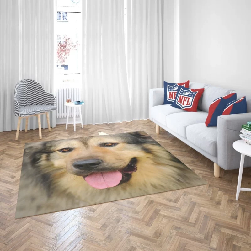 Beautiful Dog Captivating Appeal Rug 2