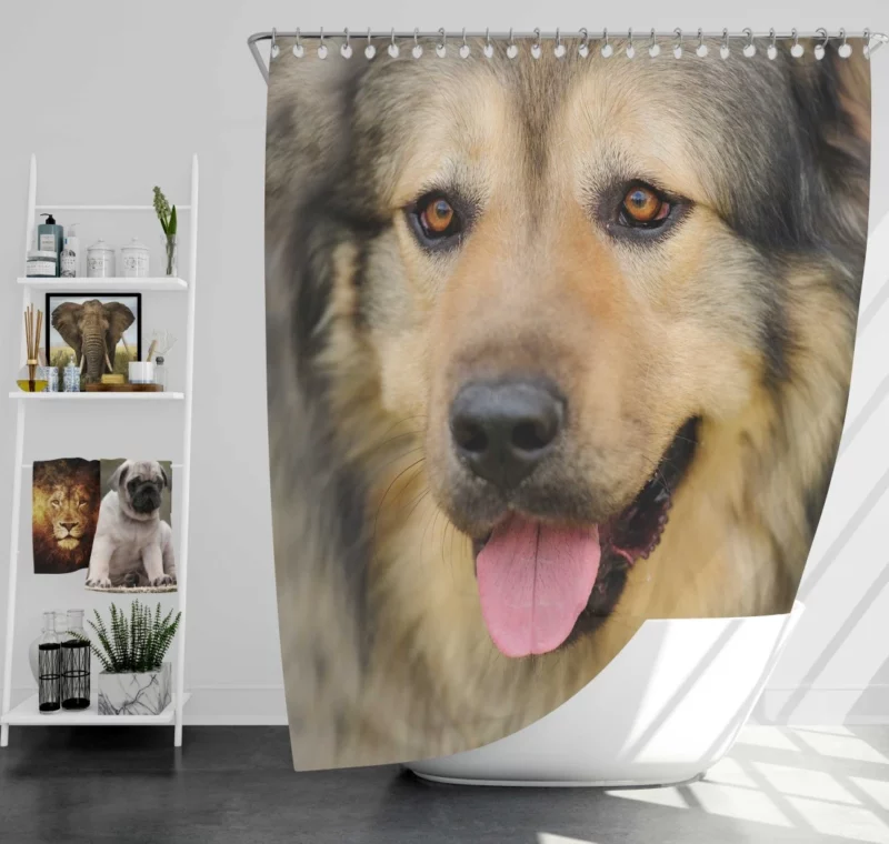 Beautiful Dog Captivating Appeal Shower Curtain