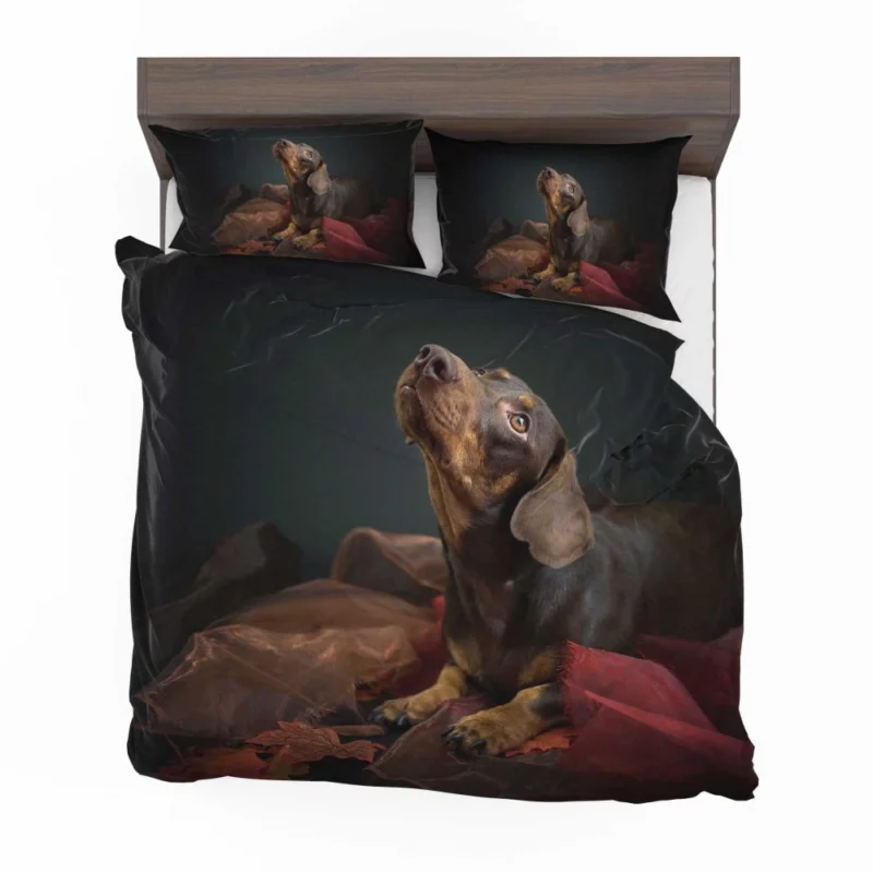 Beautiful Dog Furry Warmth Bedding Set 1