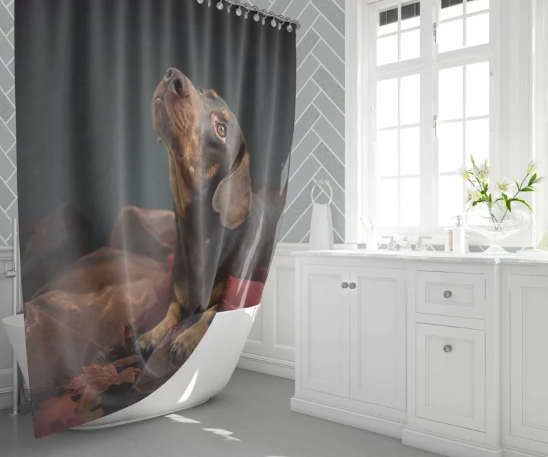 Beautiful Dog Furry Warmth Shower Curtain 1