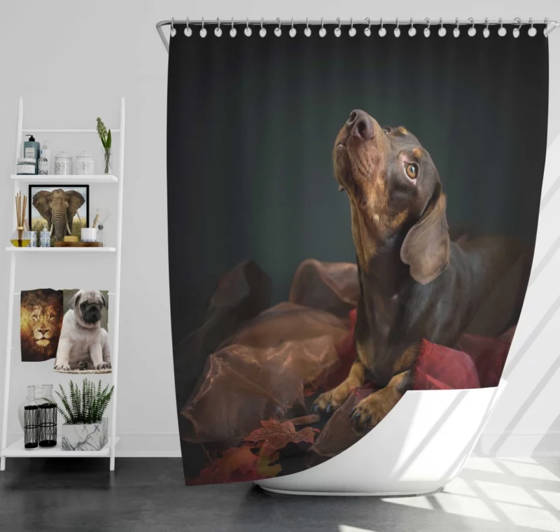 Beautiful Dog Furry Warmth Shower Curtain