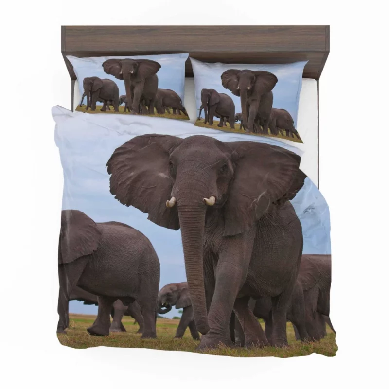 Beautiful Elephants Majestic Herd Bedding Set 1