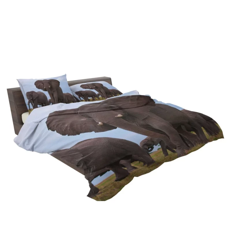 Beautiful Elephants Majestic Herd Bedding Set 2