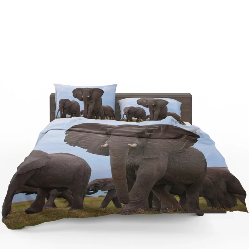 Beautiful Elephants Majestic Herd Bedding Set