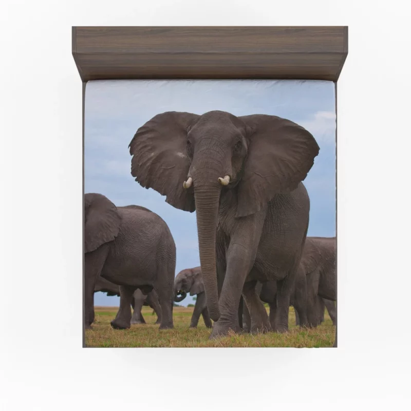 Beautiful Elephants Majestic Herd Fitted Sheet 1