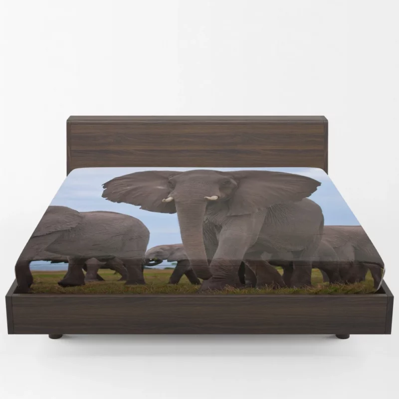 Beautiful Elephants Majestic Herd Fitted Sheet