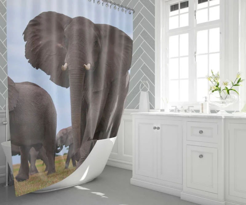 Beautiful Elephants Majestic Herd Shower Curtain 1