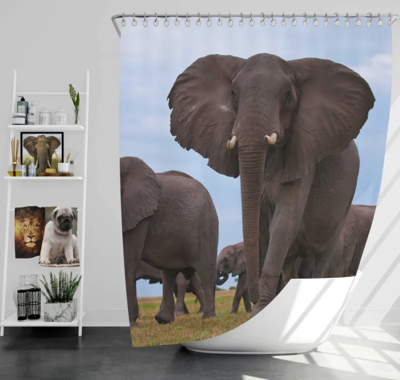 Beautiful Elephants Majestic Herd Shower Curtain