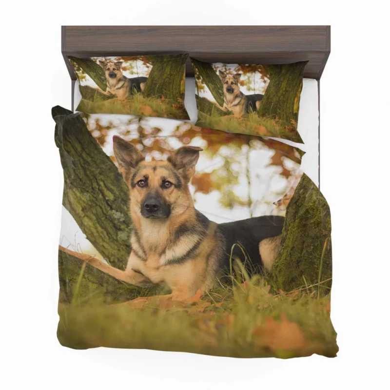 Beautiful German Shepherd Regal Stance Bedding Set 1