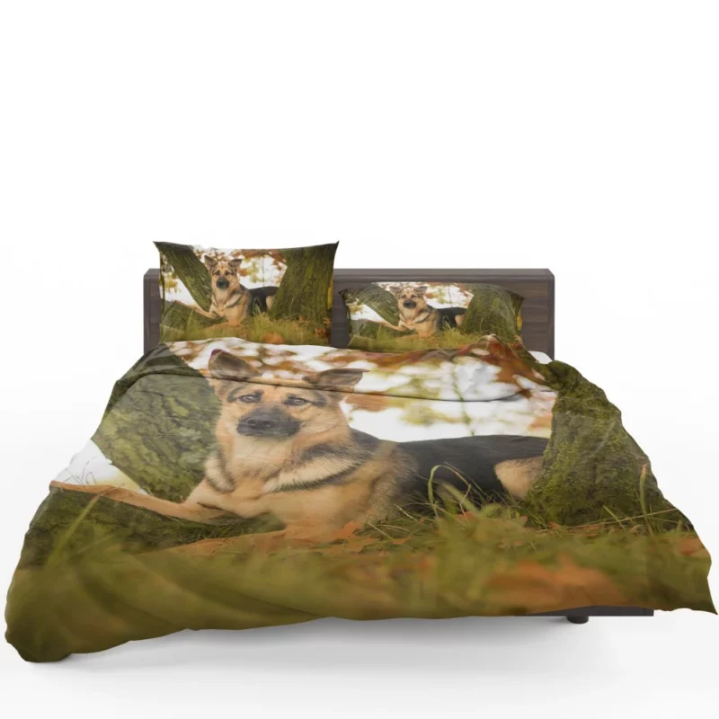 Beautiful German Shepherd Regal Stance Bedding Set