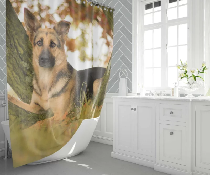 Beautiful German Shepherd Regal Stance Shower Curtain 1