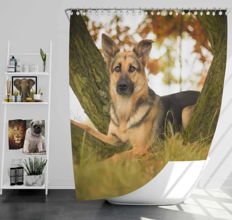 Beautiful German Shepherd Regal Stance Shower Curtain