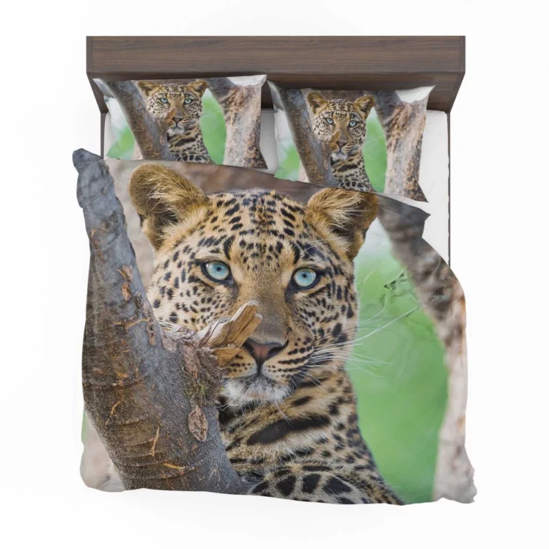 Beautiful Leopard Tree Perch Blue-Eyed Stare Bedding Set 1