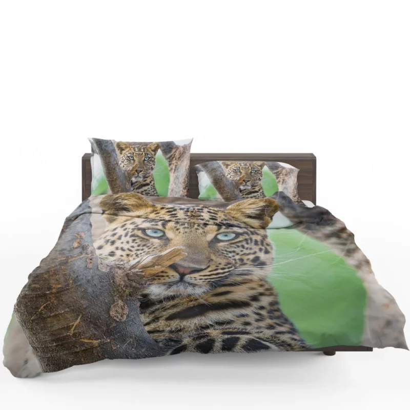 Beautiful Leopard Tree Perch Blue-Eyed Stare Bedding Set