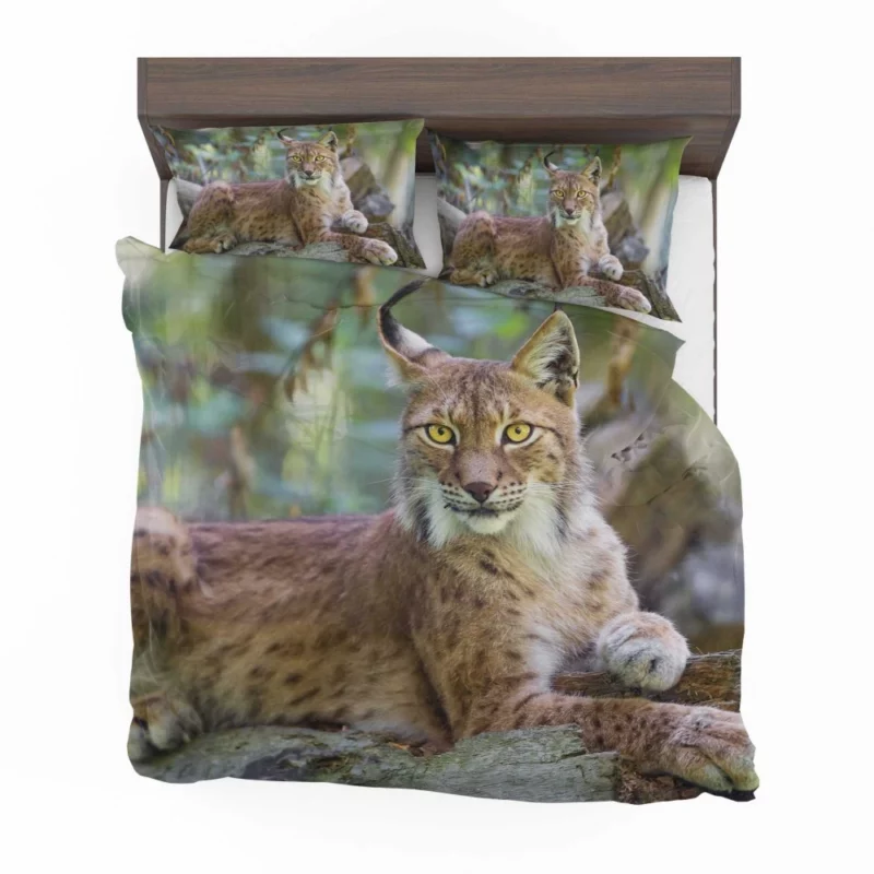 Beautiful Lynx Enigmatic Stare Bedding Set 1