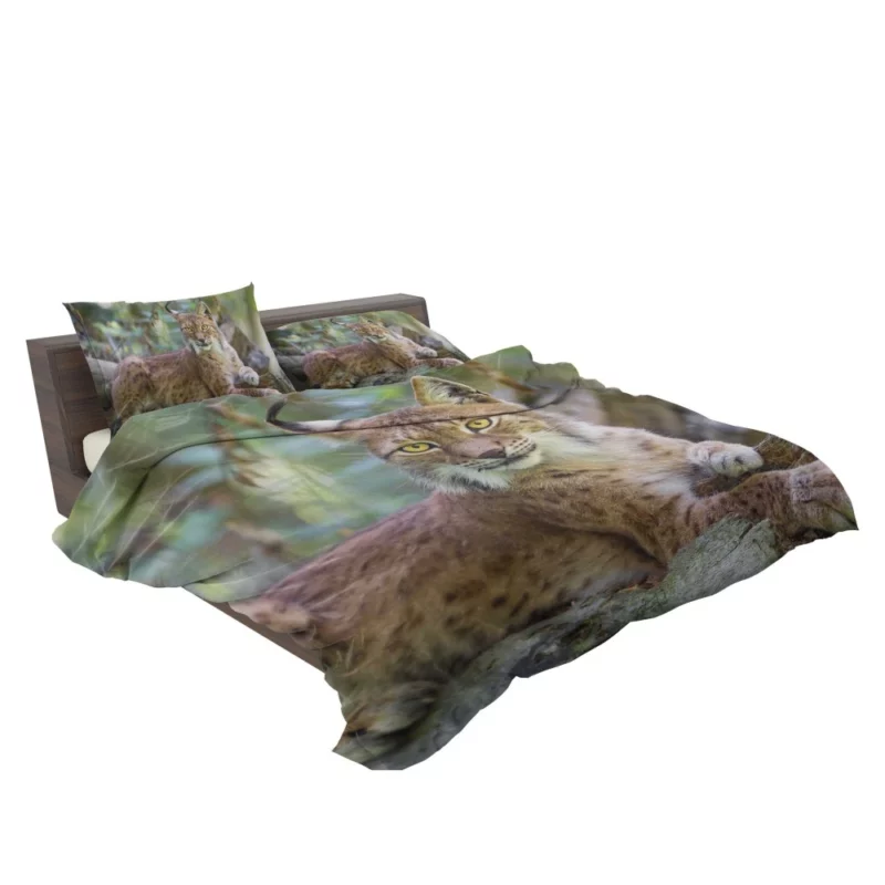 Beautiful Lynx Enigmatic Stare Bedding Set 2