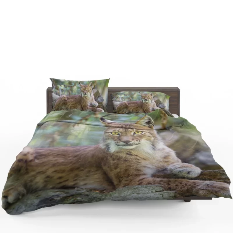 Beautiful Lynx Enigmatic Stare Bedding Set